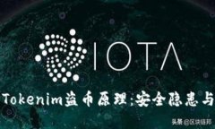 深入探索Tokenim盗币原理：安全隐患与防范策略