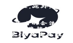   深度探索区块链与ICO：释放数字金融的潜力 /