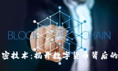 区块链解密技术：揭开数字货币背后的神秘面纱