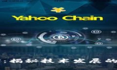 区块链的黑暗时期：揭秘技术发展的挑战与未来