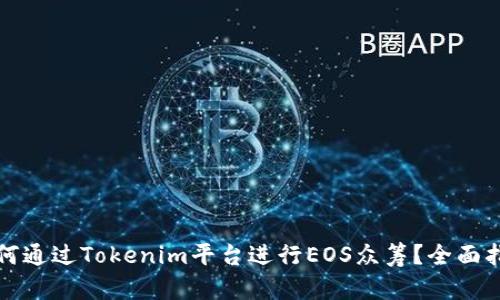 如何通过Tokenim平台进行EOS众筹？全面指南
