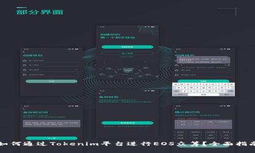 如何通过Tokenim平台进行EOS众筹？全面指南