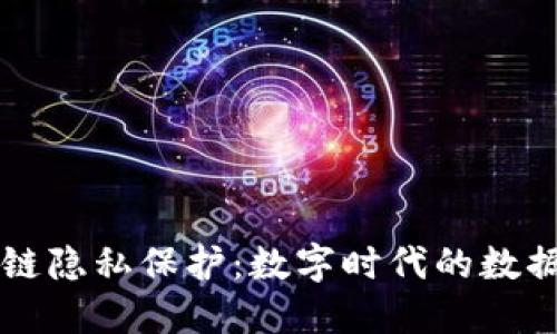区块链隐私保护：数字时代的数据堡垒