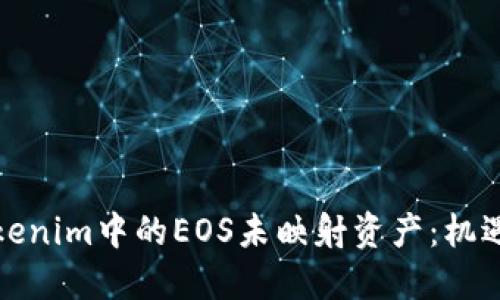 探索Tokenim中的EOS未映射资产：机遇与挑战
