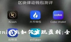 在Tokenim上如何实现盈利：全面指南