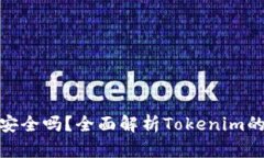 币放在Tokenim安全吗？全面解析Tokenim的安全机制与