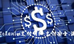 全面解析Tokenim支付明细：支付安全、流程与应用