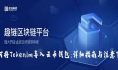 如何将Tokenim导入云币钱包：详细指南与注意事项