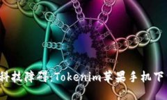  破解科技障碍：Tokenim苹果手机下载指南