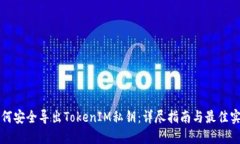 如何安全导出TokenIM私钥：详尽指南与最佳实践