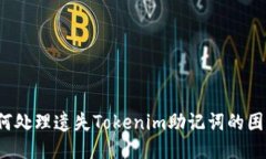 如何处理遗失Tokenim助记词的困扰？