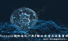 Tokenim转账延迟一天？解决方案与注意事项