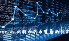 探索Tokenim：比特币代币背后的创新和机遇