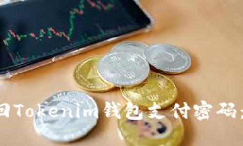  如何找回Tokenim钱包支付密码：全面指南