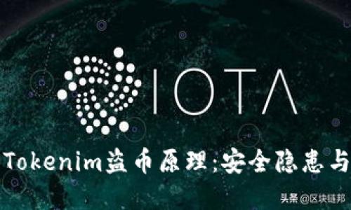 深入探索Tokenim盗币原理：安全隐患与防范策略