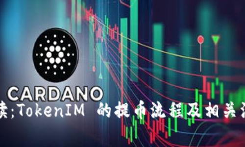 深入解读：TokenIM 的提币流程及相关注意事项