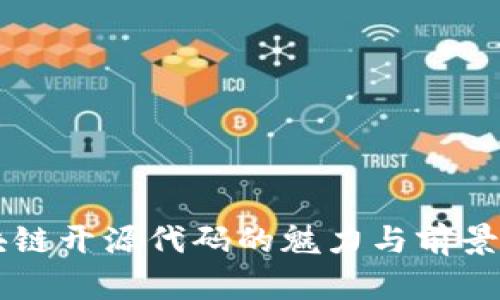区块链开源代码的魅力与前景解析