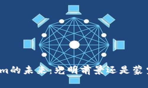 Tokenim的未来：光明前景还是蒙尘阴影？