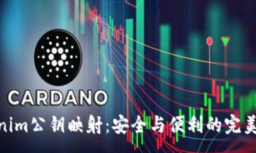 :
Tokenim公钥映射：安全与便利的完美结合