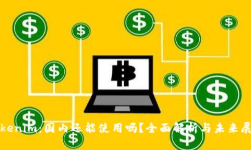 Tokenim：国内还能使用吗？全面解析与未来展望