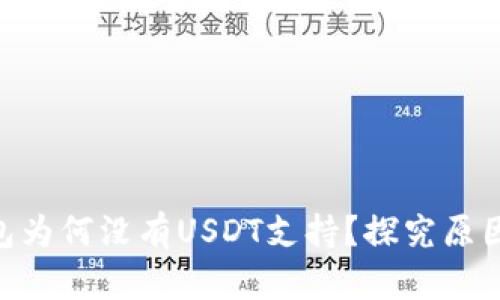 Tokenim钱包为何没有USDT支持？探究原因与未来发展