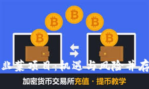 深入探讨区块链韭菜项目:机遇与风险并存的虚拟财富之路