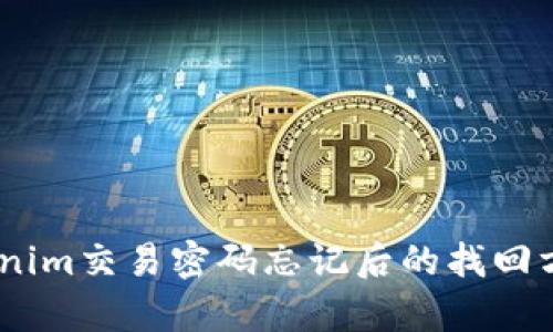 深度解析：Tokenim交易密码忘记后的找回方法及预防措施
