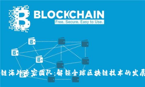 区块链海外专家团队：解锁全球区块链技术的发展潜力