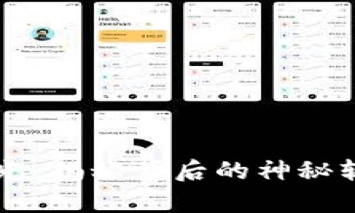 区块链央视曝光：揭秘背后的神秘软件与市场真相