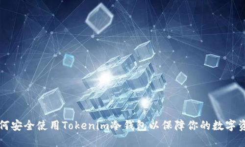 如何安全使用Tokenim冷钱包以保障你的数字资产