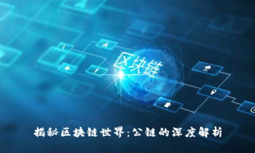 揭秘区块链世界：公链的深度解析
