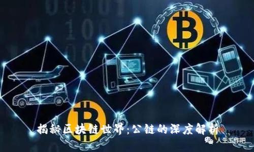 揭秘区块链世界：公链的深度解析