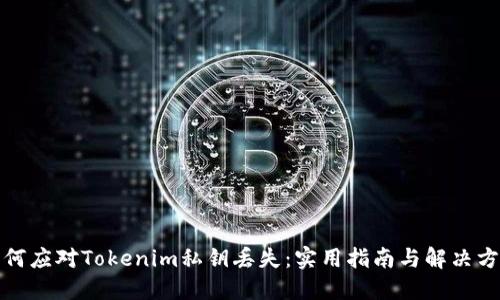 如何应对Tokenim私钥丢失：实用指南与解决方案