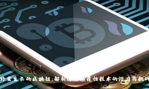 野蛮生长的区块链：解析这一颠覆性技术的潜力与挑战