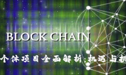 区块链个体项目全面解析：机遇与挑战并存
