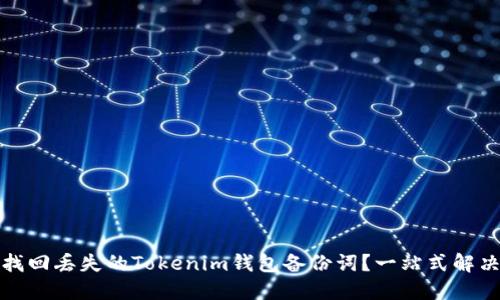 如何找回丢失的Tokenim钱包备份词？一站式解决方案