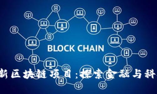  美国最新区块链项目：探索金融与科技的未来