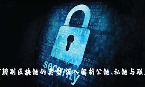 如何辨别区块链的类型：深入解析公链、私链与联盟链