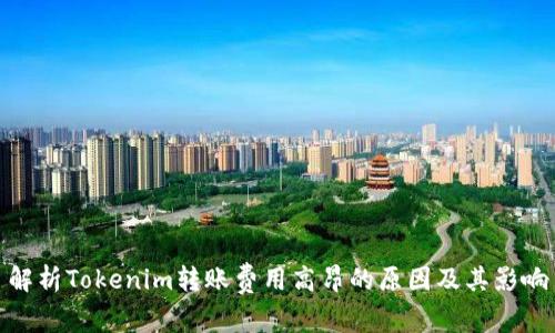解析Tokenim转账费用高昂的原因及其影响