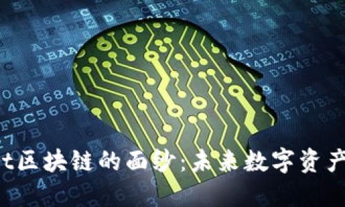 揭开1st区块链的面纱：未来数字资产的基石