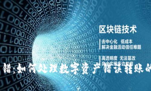 Tokenim 转错：如何处理数字资产错误转账的全方位指南