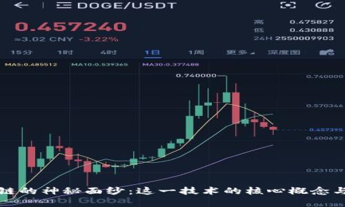 揭开区块链的神秘面纱：这一技术的核心概念与未来前景