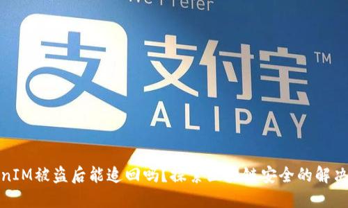 TokenIM被盗后能追回吗?探索区块链安全的解决方案