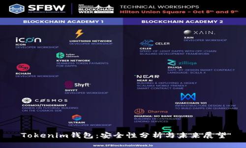 Tokenim钱包：安全性分析与未来展望