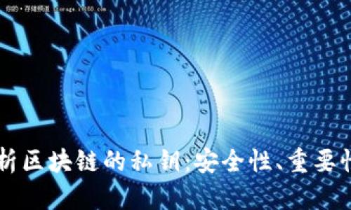 深入解析区块链的私钥：安全性、重要性与应用