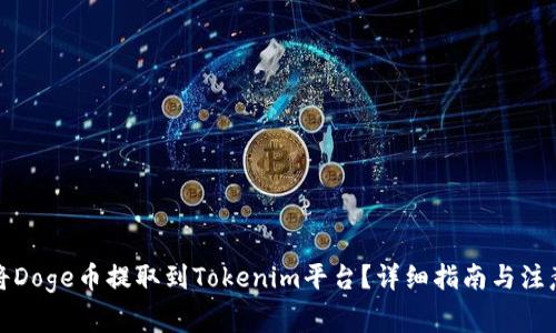 如何将Doge币提取到Tokenim平台？详细指南与注意事项