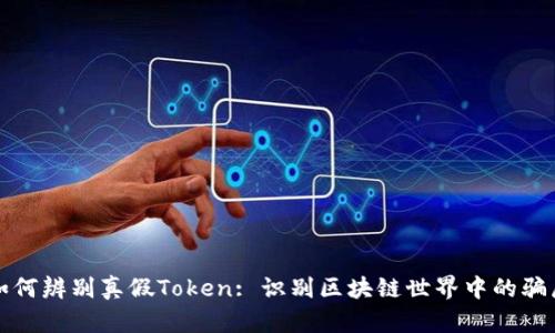 如何辨别真假Token: 识别区块链世界中的骗局
