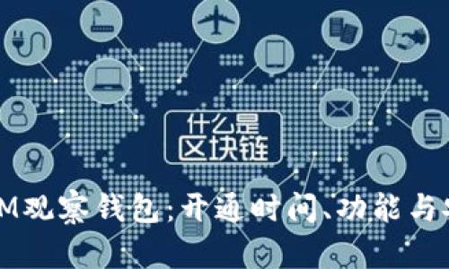 深入探索IM观察钱包：开通时间、功能与安全性详解