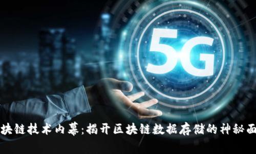 区块链技术内幕：揭开区块链数据存储的神秘面纱