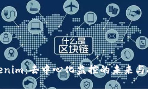 Tokenim：去中心化监控的未来与挑战